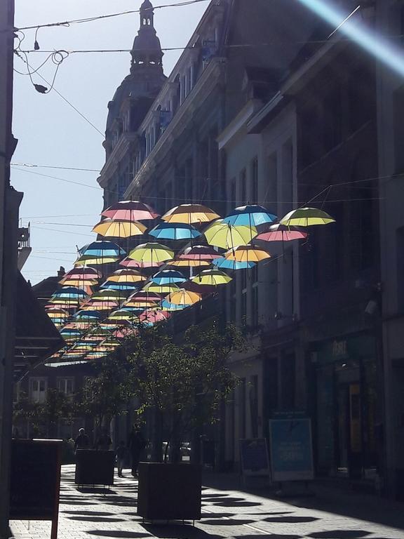 Lille Centre Ville, Beaux Arts Et Grand Palais, Bienvenue Chez Nestyou Лілль Екстер'єр фото