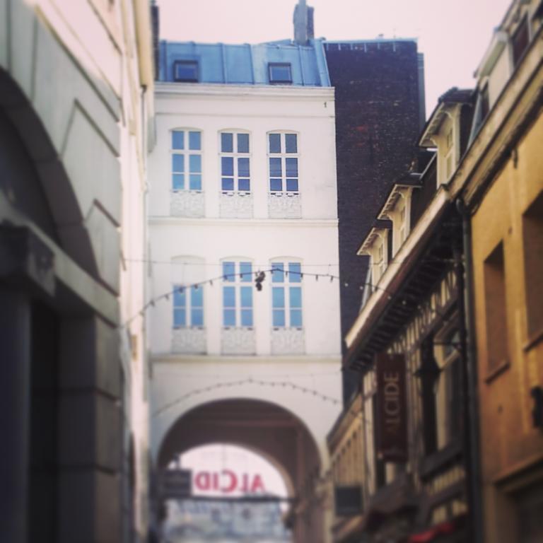 Lille Centre Ville, Beaux Arts Et Grand Palais, Bienvenue Chez Nestyou Лілль Екстер'єр фото