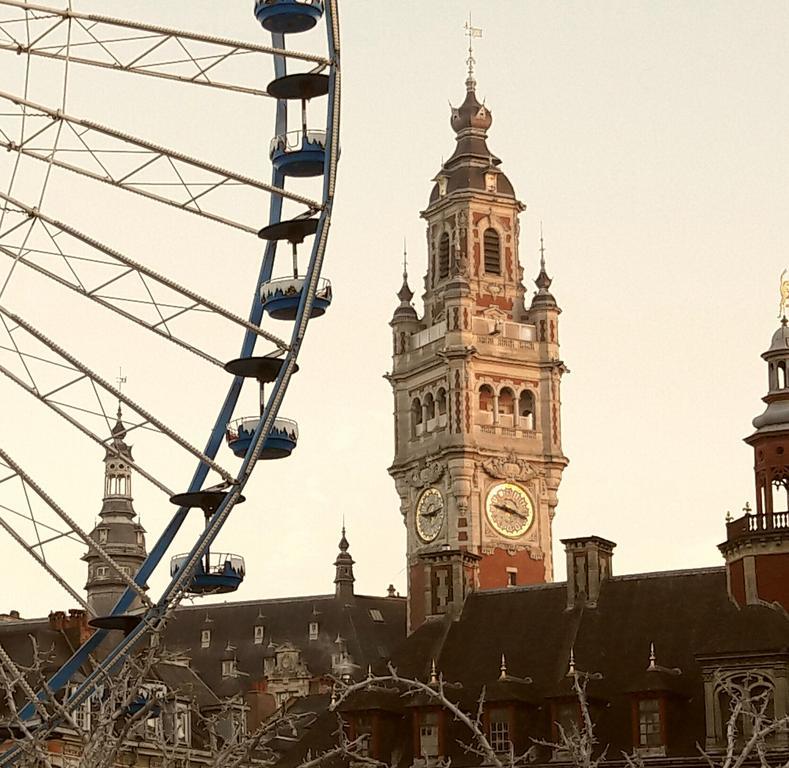 Lille Centre Ville, Beaux Arts Et Grand Palais, Bienvenue Chez Nestyou Лілль Екстер'єр фото
